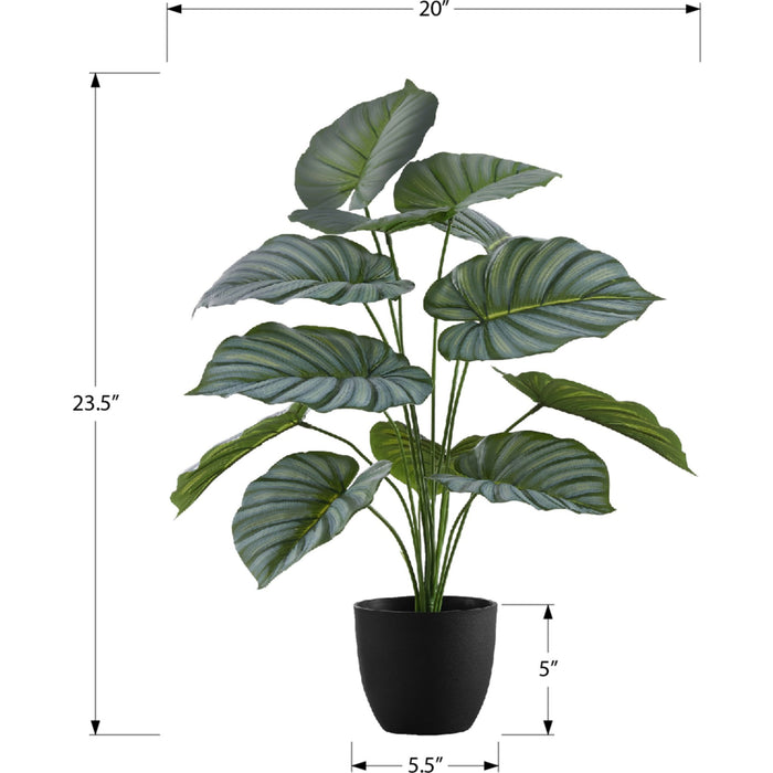 Indoor Calathea - 24" Artificial Plant in a 5" Pot
