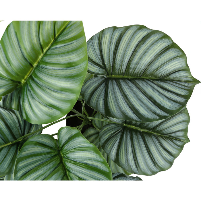 Indoor Calathea - 24" Artificial Plant in a 5" Pot