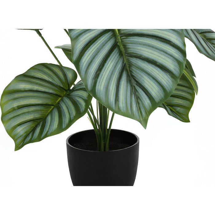 Indoor Calathea - 24" Artificial Plant in a 5" Pot