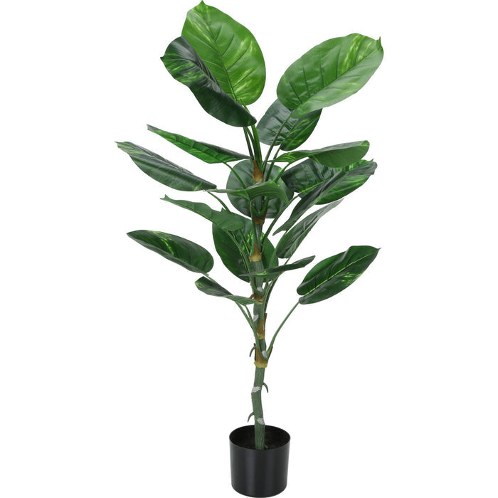 Indoor Dieffenbachia - 54" Artificial Plant in a 6" Pot