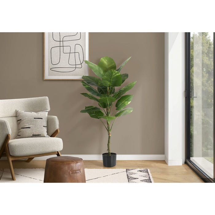 Indoor Dieffenbachia - 54" Artificial Plant in a 6" Pot