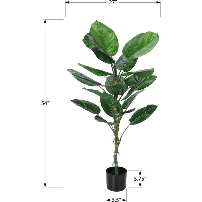 Indoor Dieffenbachia - 54" Artificial Plant in a 6" Pot