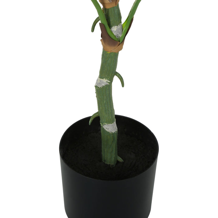 Indoor Dieffenbachia - 54" Artificial Plant in a 6" Pot