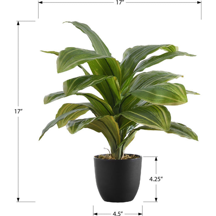 Indoor Dracaena - 17" Artificial Plant in a 4" Pot