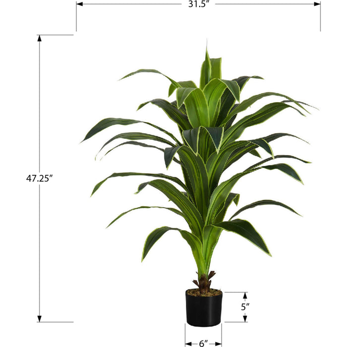 Indoor Dracaena - 47" Artificial Plant in a 5" Pot
