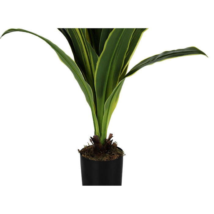 Indoor Dracaena - 47" Artificial Plant in a 5" Pot
