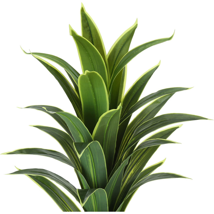 Indoor Dracaena - 47" Artificial Plant in a 5" Pot