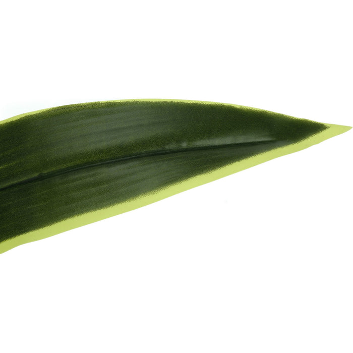 Indoor Dracaena - 47" Artificial Plant in a 5" Pot
