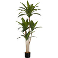 Indoor Dracaena - 51" Artificial Plant in a 5" Pot