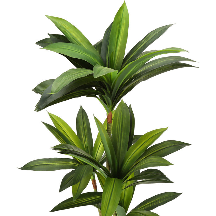 Indoor Dracaena - 51" Artificial Plant in a 5" Pot