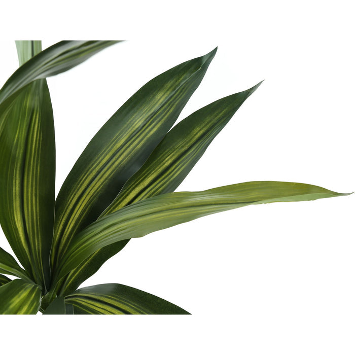 Indoor Dracaena - 51" Artificial Plant in a 5" Pot