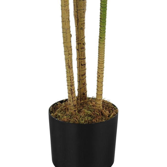 Indoor Dracaena - 51" Artificial Plant in a 5" Pot