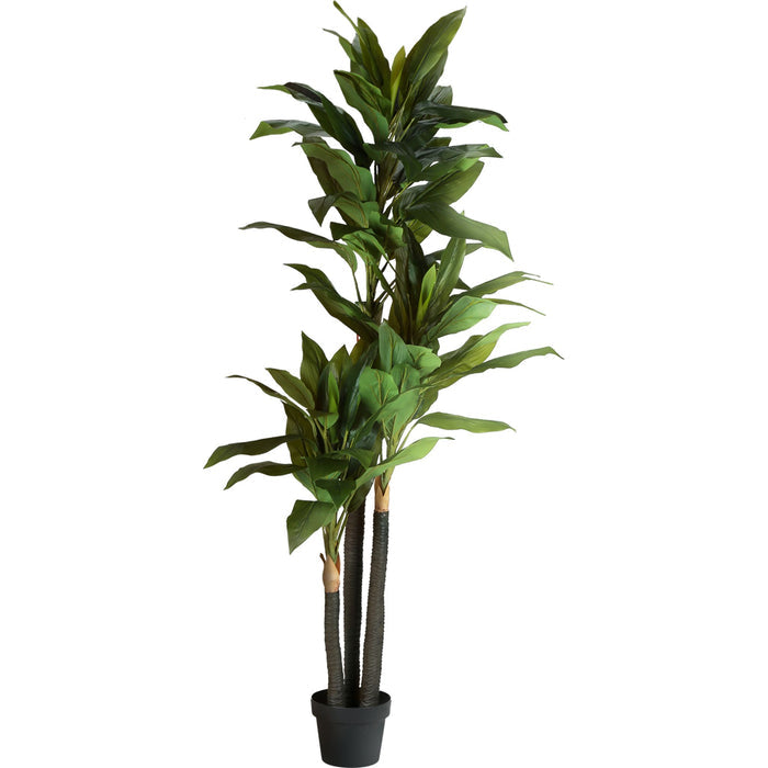 Indoor Dracaena - 83" Artificial Plant in a 8" Pot
