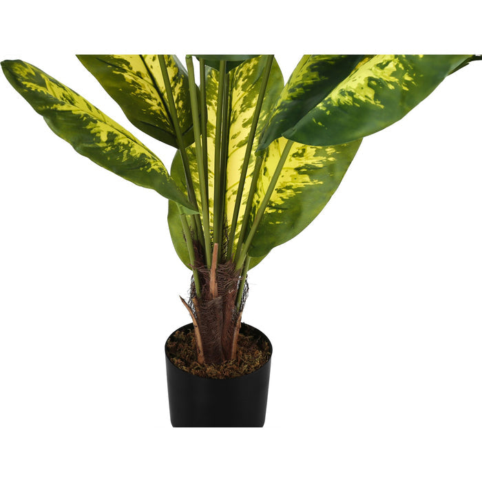 Indoor Evergreen - 47" Artificial Plant in a 5" Pot