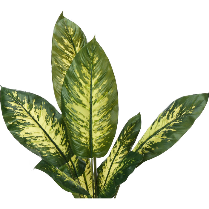 Indoor Evergreen - 47" Artificial Plant in a 5" Pot
