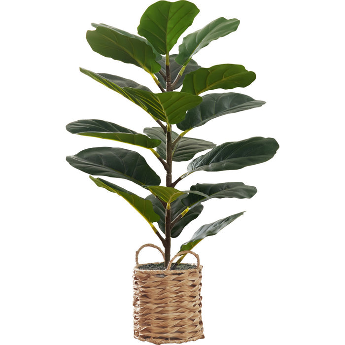 Indoor Fiddle - 28" Artificial Plant in a 8" Woven Basket