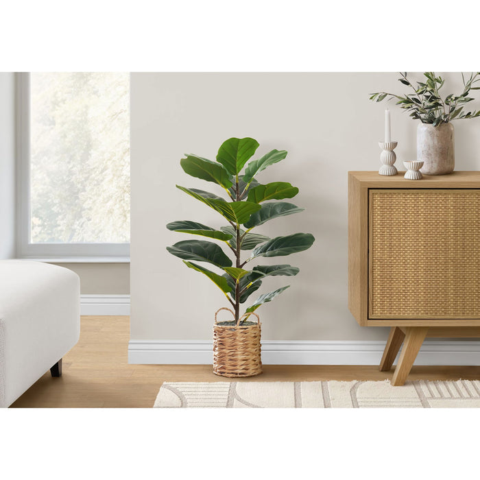 Indoor Fiddle - 28" Artificial Plant in a 8" Woven Basket