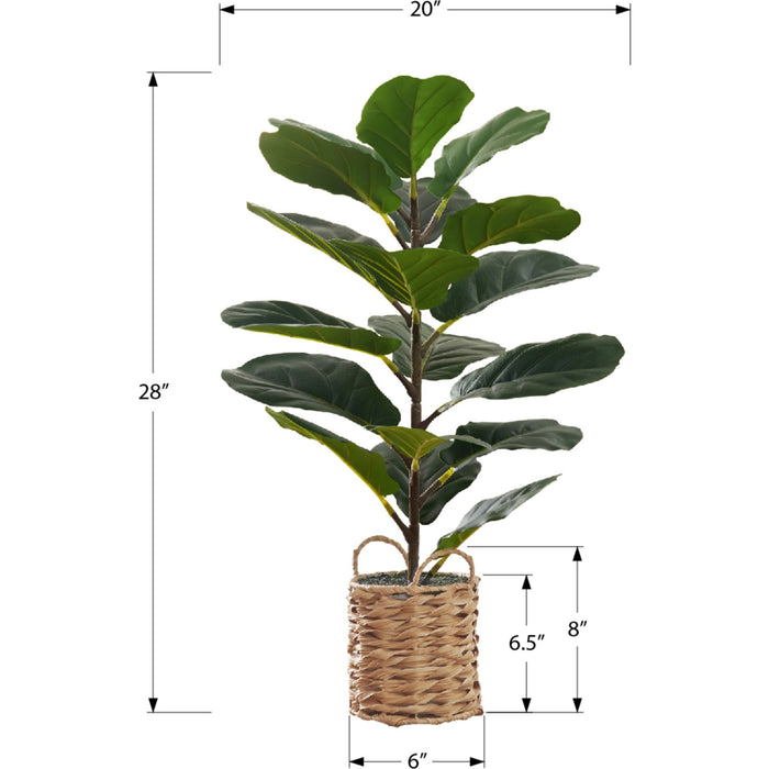 Indoor Fiddle - 28" Artificial Plant in a 8" Woven Basket