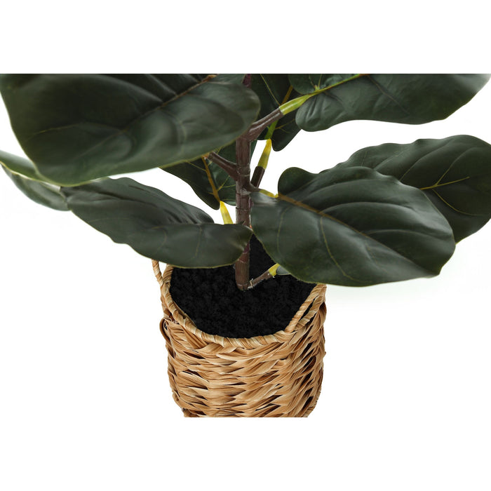 Indoor Fiddle - 28" Artificial Plant in a 8" Woven Basket