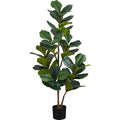 Indoor Fiddle Tree - 49" Artificial Plant in a 5" Pot