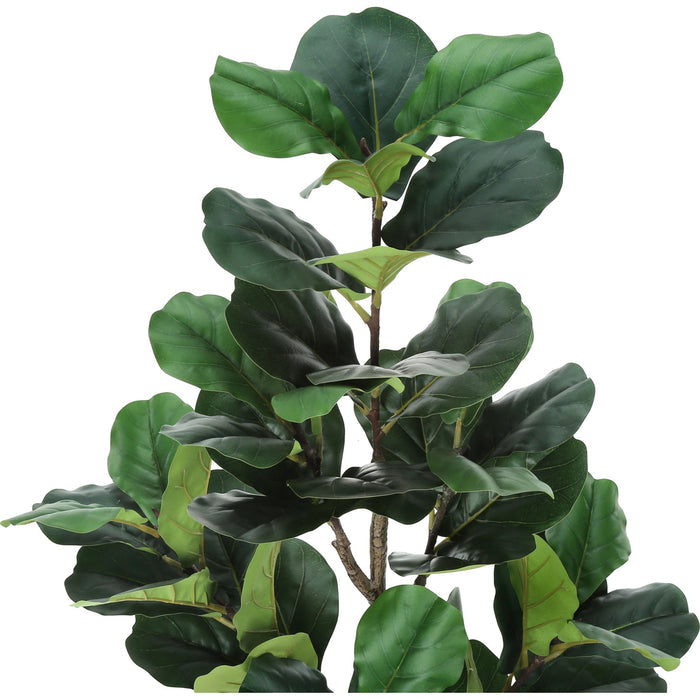Indoor Fiddle Tree - 49" Artificial Plant in a 5" Pot