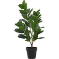Indoor Garcinia - 28" Artificial Plant in a 5" Pot