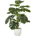 Indoor Monstera - 24" Artificial Plant in a 5" Pot