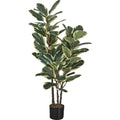 Indoor Oak Tree - 47" Artificial Plant in a 5" Pot