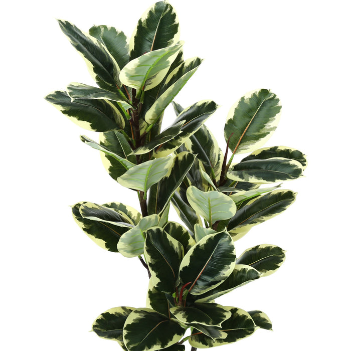 Indoor Oak Tree - 47" Artificial Plant in a 5" Pot