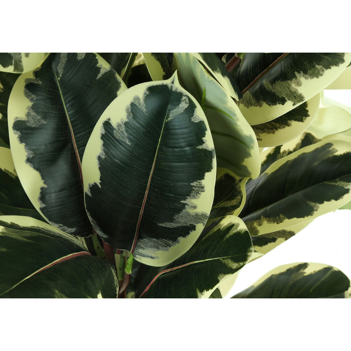 Indoor Oak Tree - 47" Artificial Plant in a 5" Pot