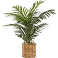 Indoor Palm - 24" Artificial Plant in a 8" Woven Basket