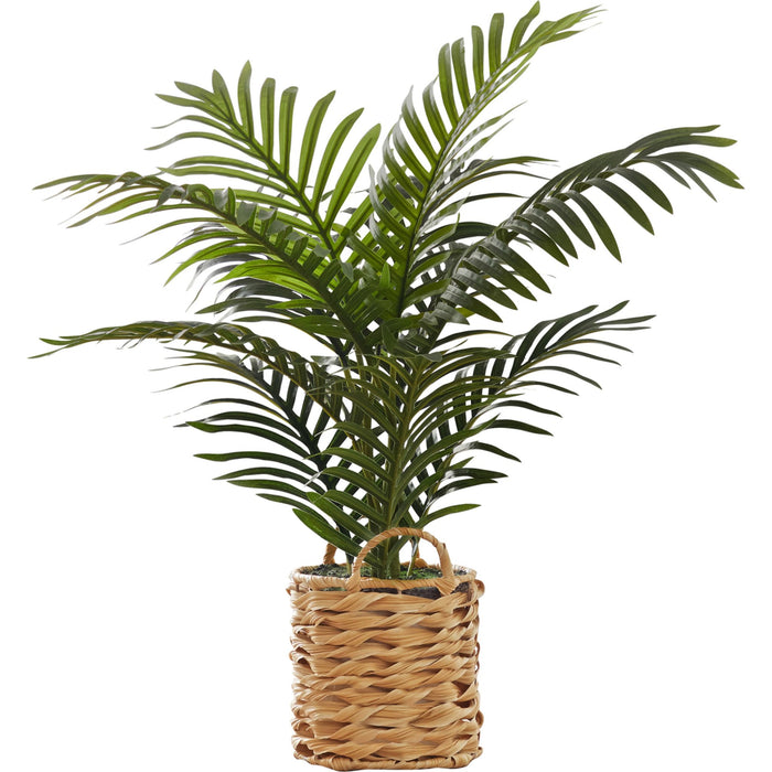 Indoor Palm - 24" Artificial Plant in a 8" Woven Basket