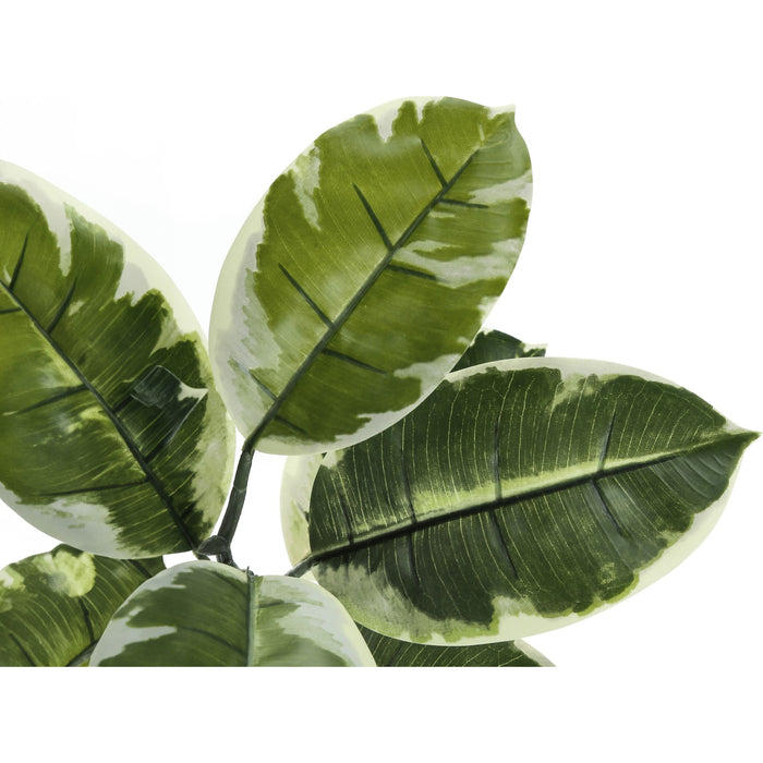 Indoor Rubber Tree - 52" Artificial Plant in a 5" Pot