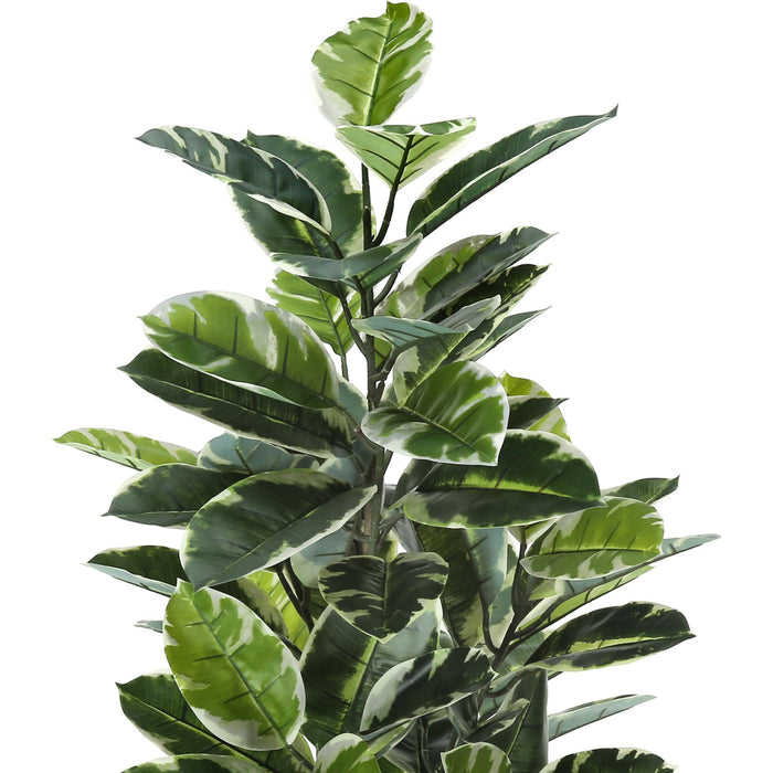 Indoor Rubber Tree - 52" Artificial Plant in a 5" Pot