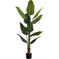 Indoor Strelitzia - 59" Artificial Plant in a 5" Pot