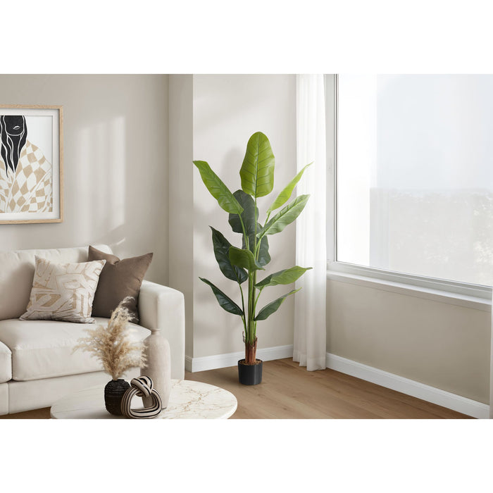 Indoor Strelitzia - 59" Artificial Plant in a 5" Pot