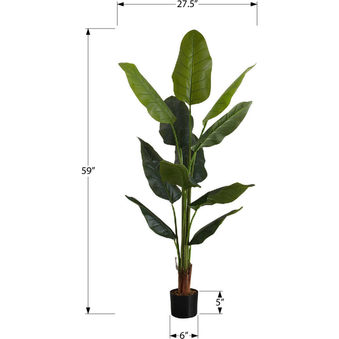 Indoor Strelitzia - 59" Artificial Plant in a 5" Pot