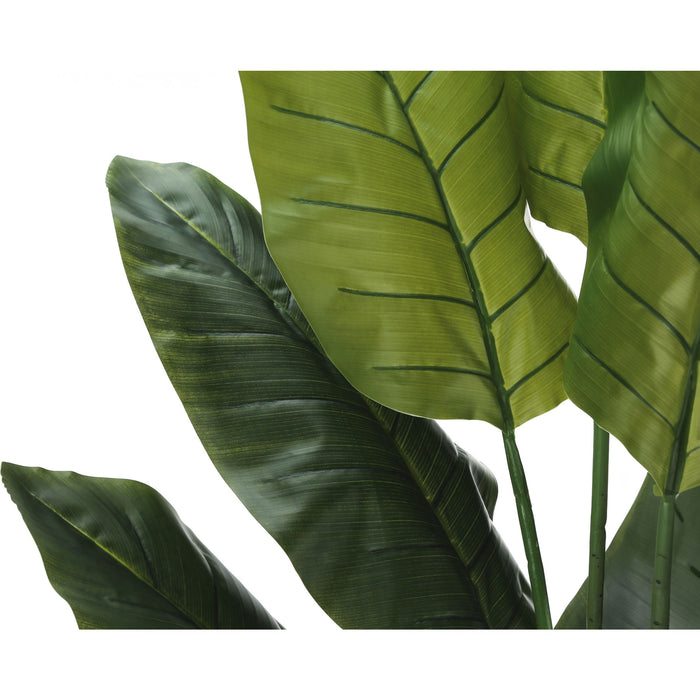 Indoor Strelitzia - 59" Artificial Plant in a 5" Pot