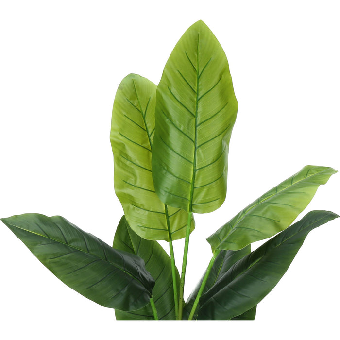 Indoor Strelitzia - 59" Artificial Plant in a 5" Pot
