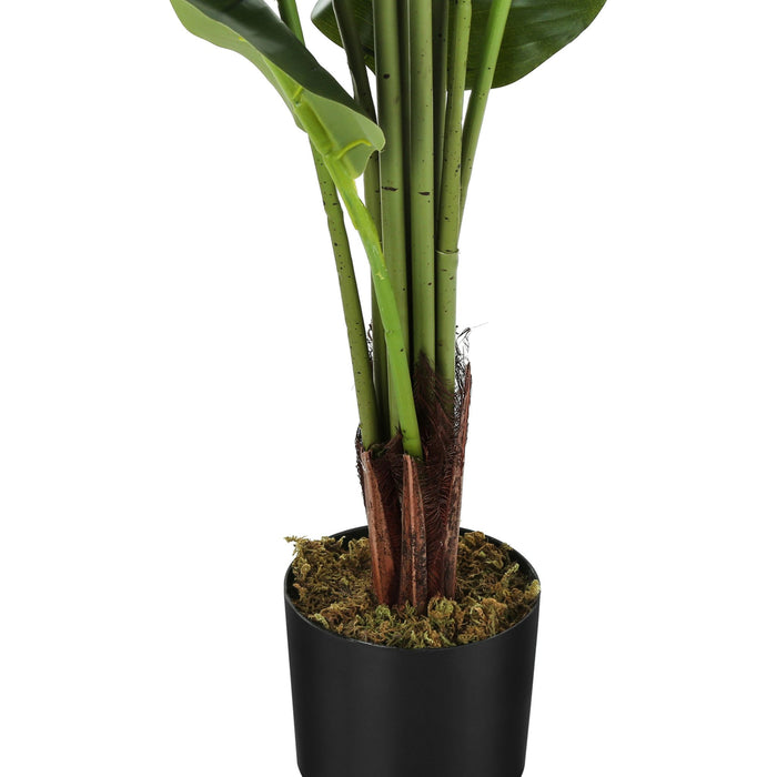 Indoor Strelitzia - 59" Artificial Plant in a 5" Pot