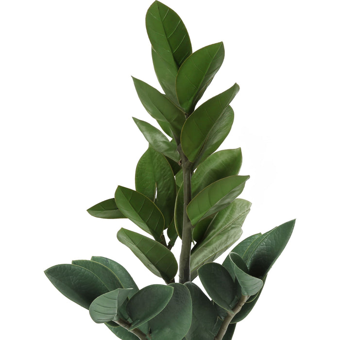 Indoor Zz - 20" Artificial Plant in a 5" Cement Pot