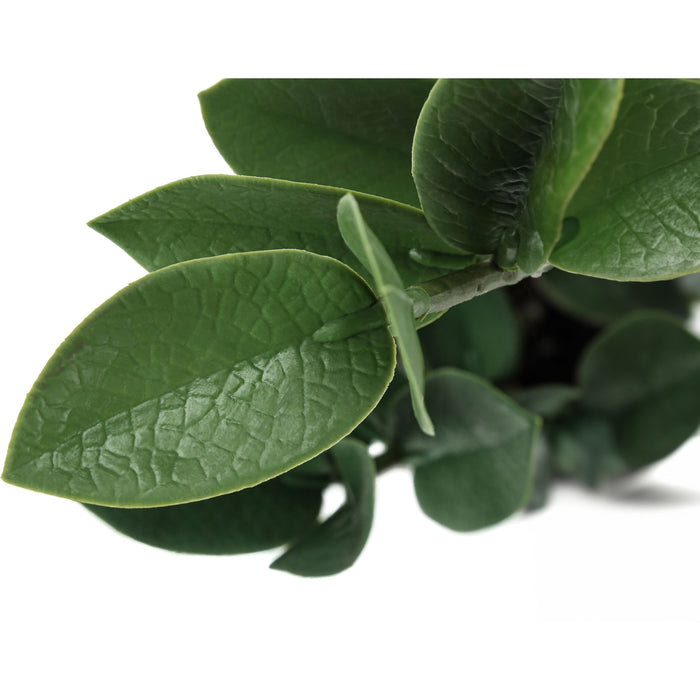 Indoor Zz - 20" Artificial Plant in a 5" Cement Pot