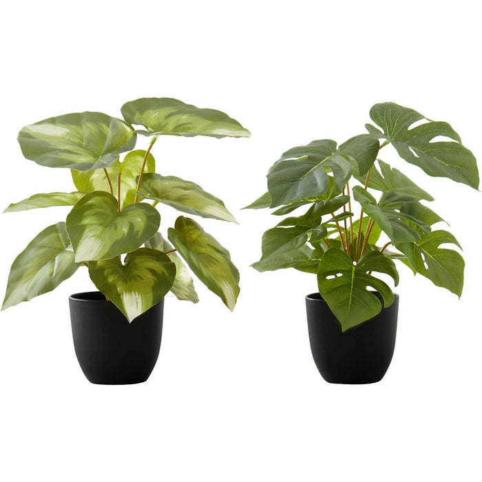 Monstera/Calathea - 13" Artificial Plant (Set of 2) in a 4" Pot