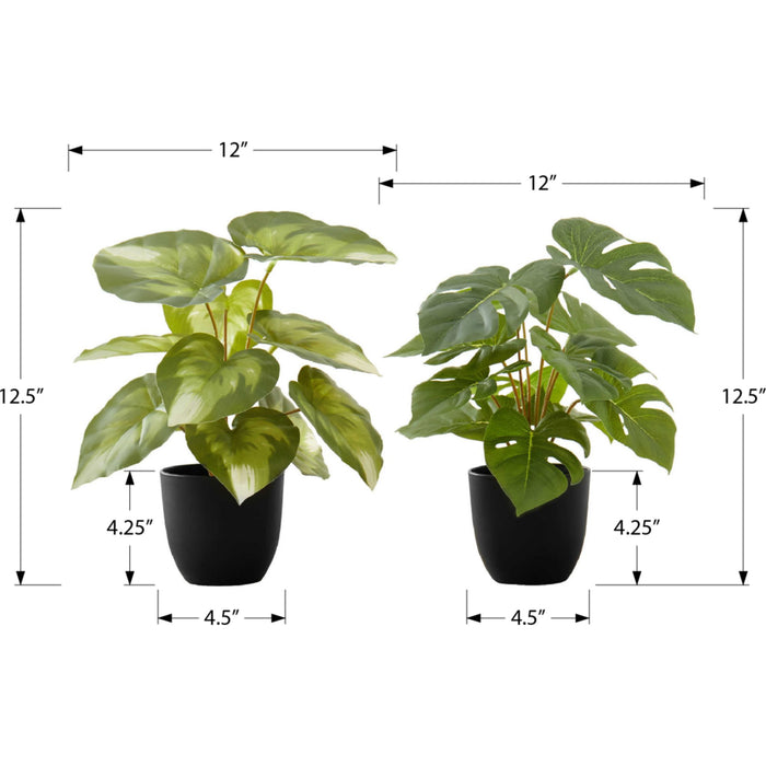 Monstera/Calathea - 13" Artificial Plant (Set of 2) in a 4" Pot