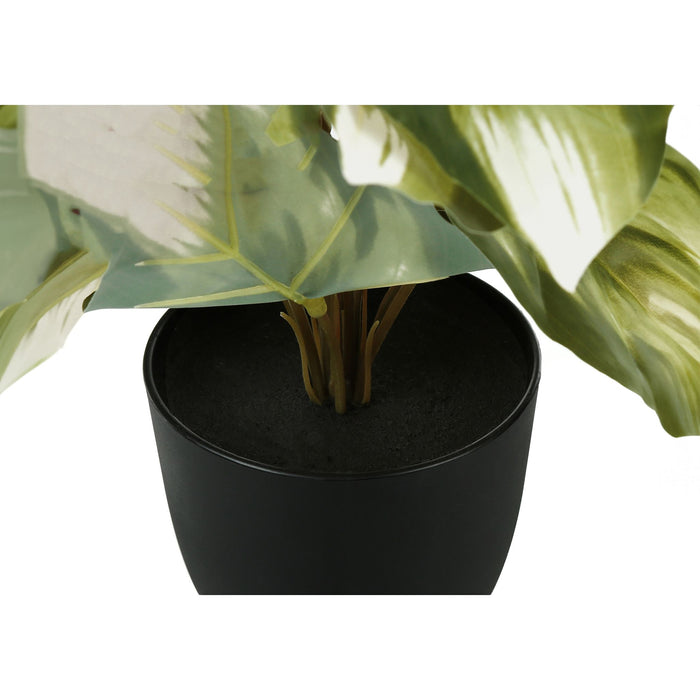 Monstera/Calathea - 13" Artificial Plant (Set of 2) in a 4" Pot