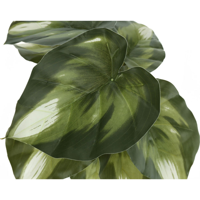 Monstera/Calathea - 13" Artificial Plant (Set of 2) in a 4" Pot