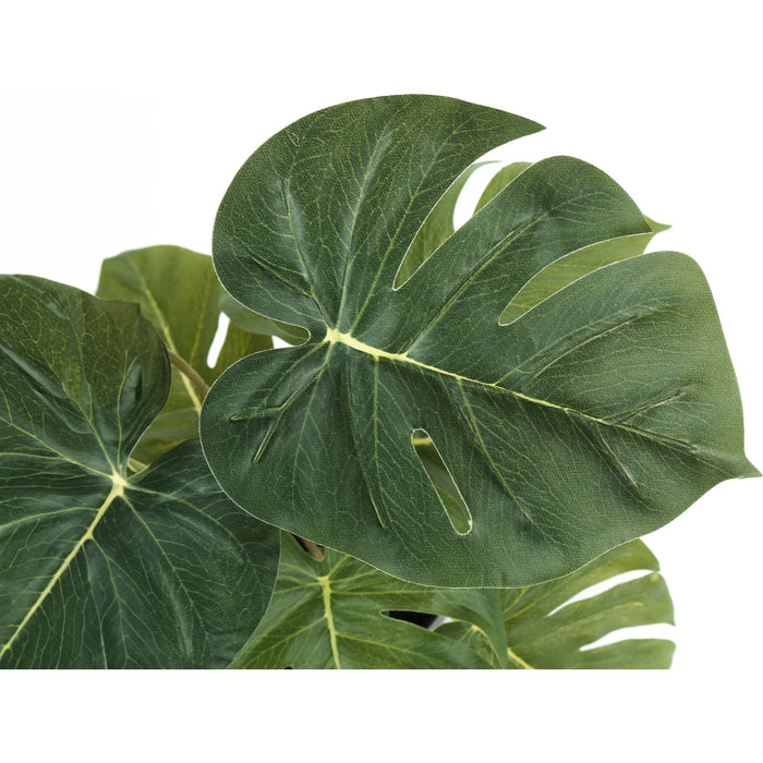 Monstera/Calathea - 13" Artificial Plant (Set of 2) in a 4" Pot
