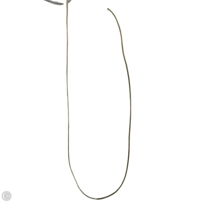 Necklace Chain By Clothes Mentor