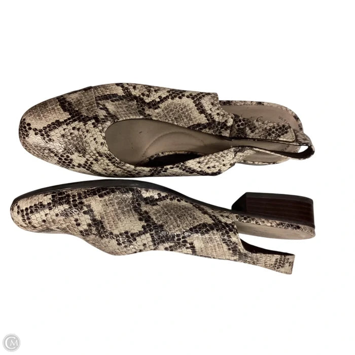 Sandals Flats By Clarks In Animal Print, Size: 8.5