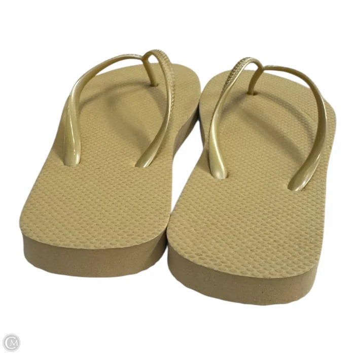 Sandals Flip Flops By Clothes Mentor In Gold, Size: 6